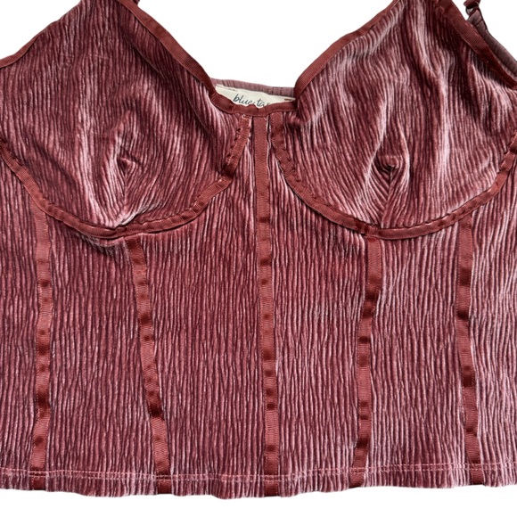 Anthro Blue Tassel Corset Seamed Cami Top Crushed Velvet Spaghetti Straps Large - Picture 7 of 12